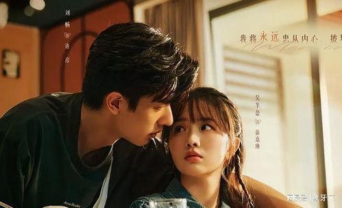 电视剧 推荐,一部融合历史与现代情感的电视剧