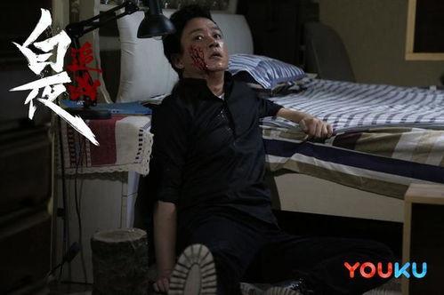 白夜追凶电视剧,黑白交织的悬疑世界，正义与邪恶的终极对决